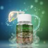 عشبة القمح wheatgrass